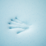 Imprint of hand on cool gel memory foam