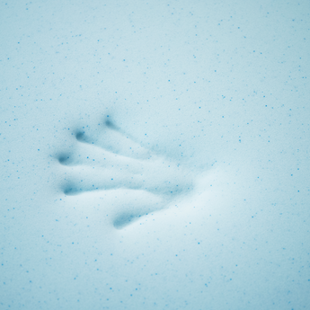 Imprint of hand on cool gel memory foam