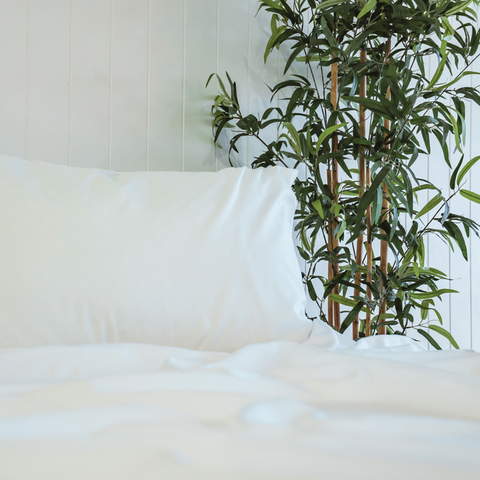 The Sheet Set