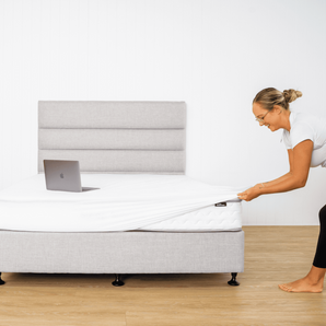 🎁 The Protector (100% off)